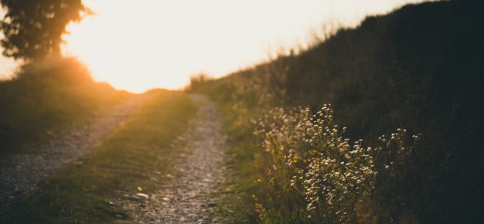 Reflections: Listening to Yourself