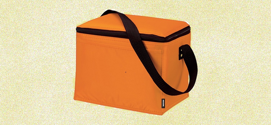 Refrigerator and/or Cooler Bag