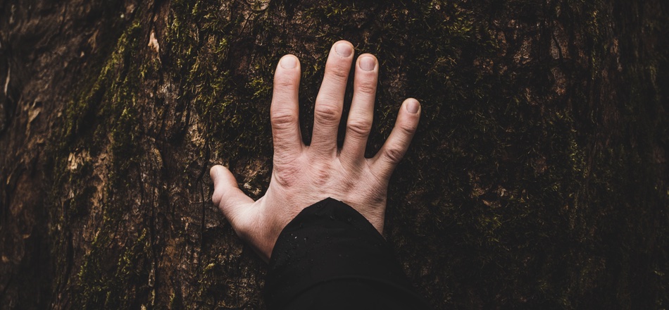 Reflections: Coming Off Psychiatric Drugs is About Journeying Back to Our Own Bodies