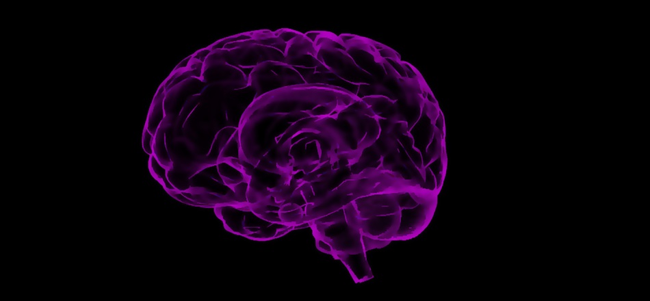 Biofeedback