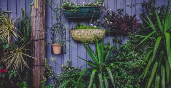Gardening