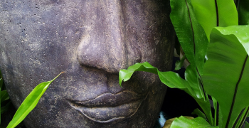 Withdrawal-induced tinnitus: quick tips