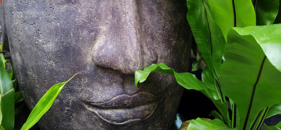Withdrawal-induced tinnitus: quick tips
