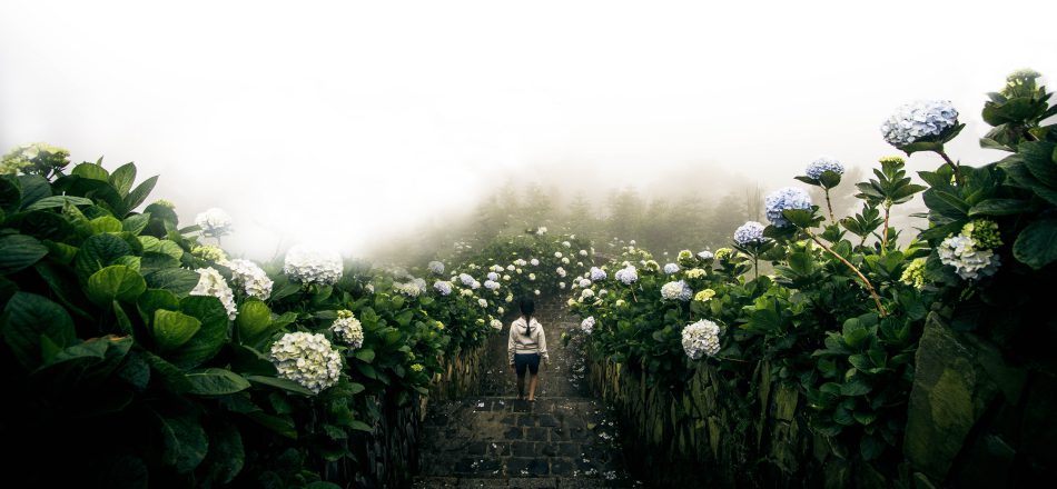 Withdrawal-induced mood swings: quick tips