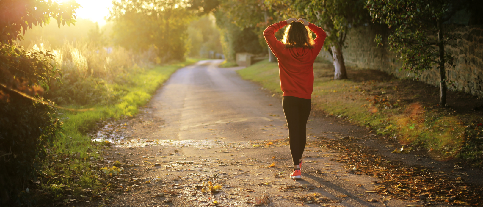 A woman walking with her back to the camera along a sunlit path lined with trees