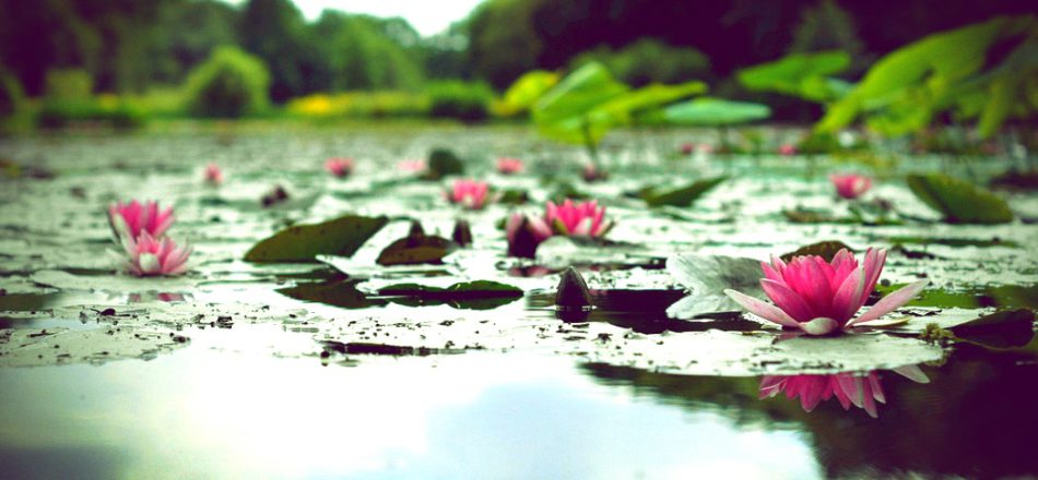 Exciting Announcements from ICI– And a Call to Those Looking to Share Their Stories of Psychiatric Drug Withdrawal