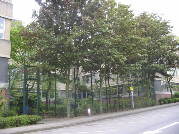 Photo of the psychiatric hospital