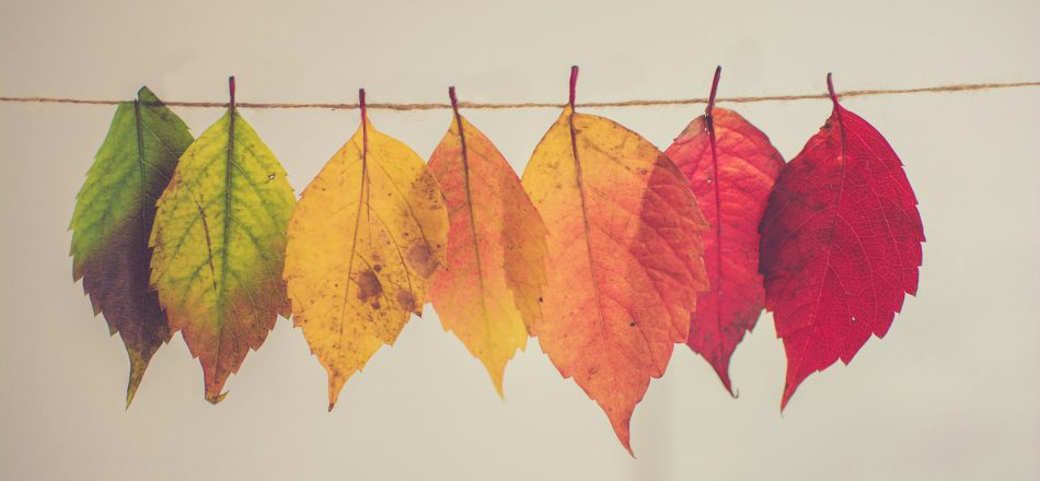 Permanence, possibility, and the power of our stories