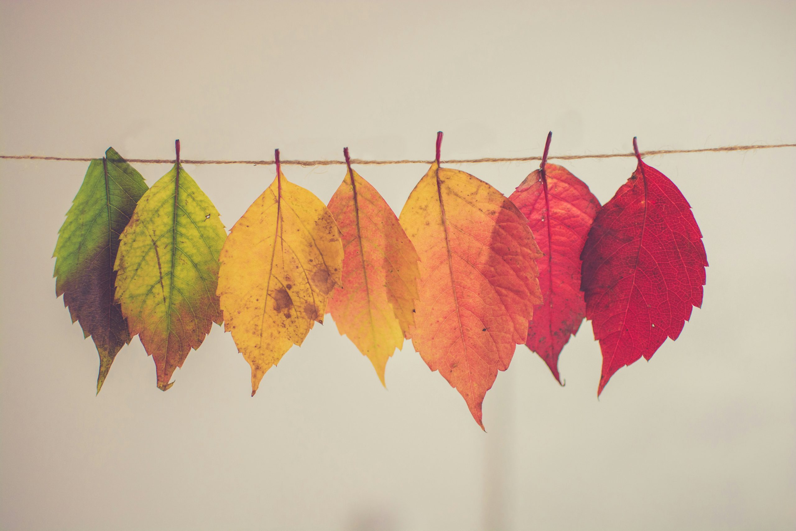 Permanence, possibility, and the power of our stories
