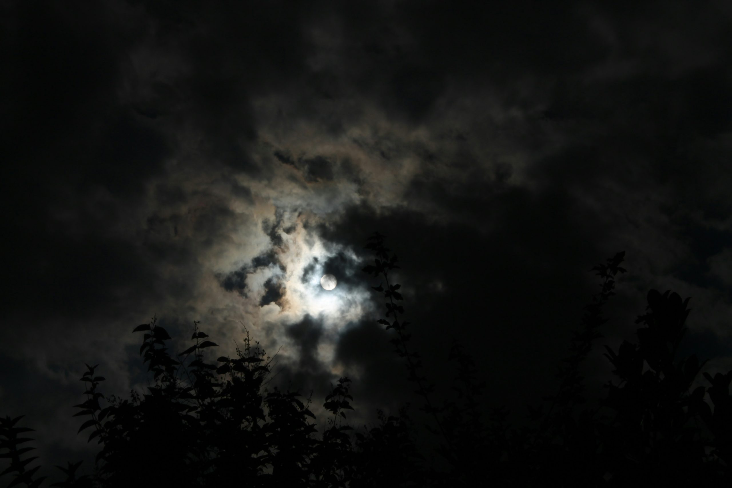 Weathering the darkest nights: top tips for surviving one moment at a time