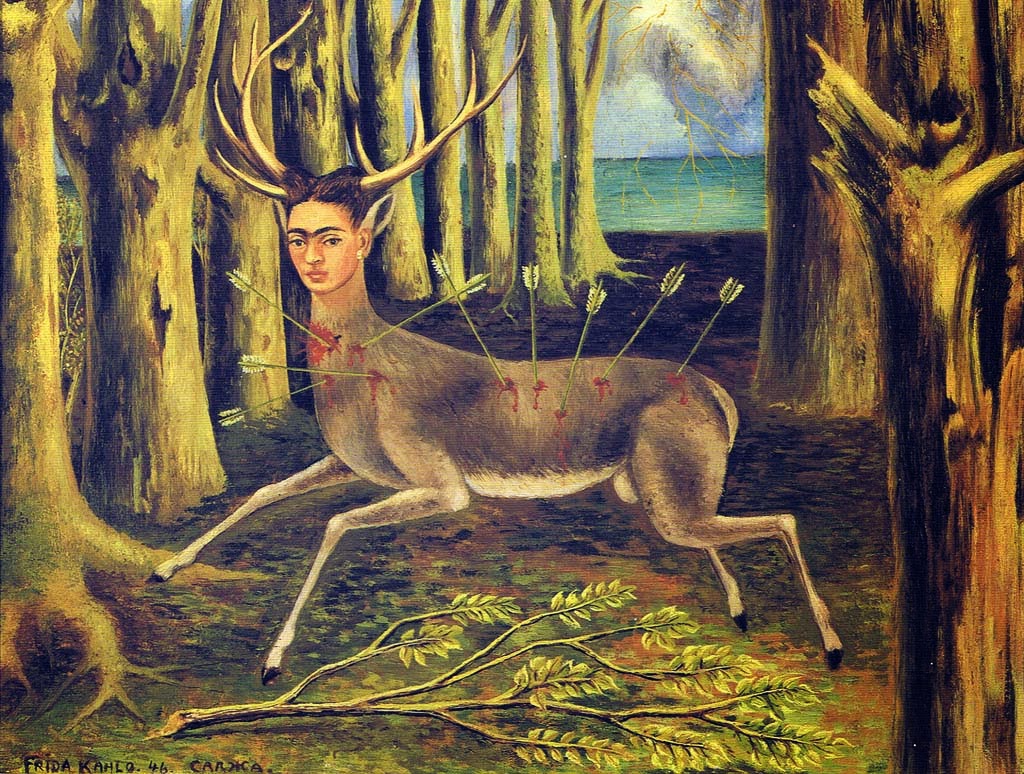wounded deer